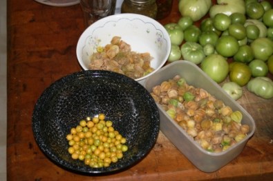 ground cherries small