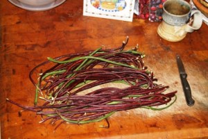 Red Noodle beans small